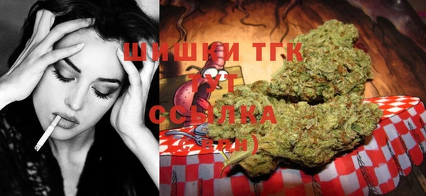 PSILOCYBIN Навашино