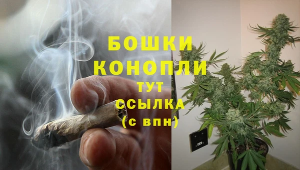PSILOCYBIN Навашино