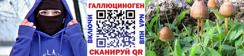Псилоцибиновые грибы прущие грибы  купить   маркетплейс состав  Сысерть 